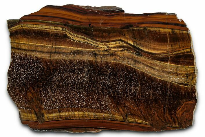 Polished Tiger's Eye Slab - South Africa #355292